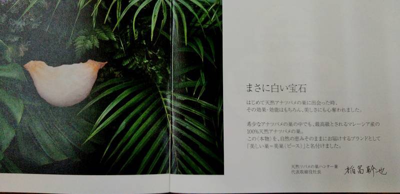 f:id:kyokoippoppo:20210511182939j:plain:w530:left