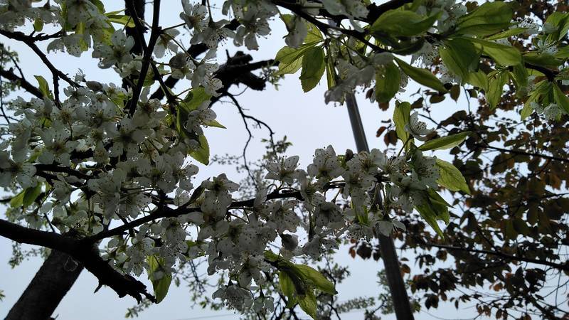 f:id:kyokoippoppo:20210523101137j:plain:w600
