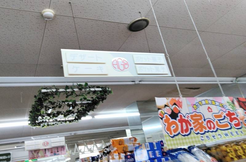 f:id:kyokoippoppo:20210524191707j:plain:w500:left