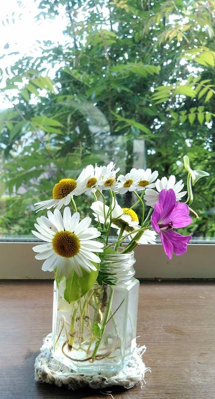 f:id:kyokoippoppo:20210709074146j:plain:w220:left