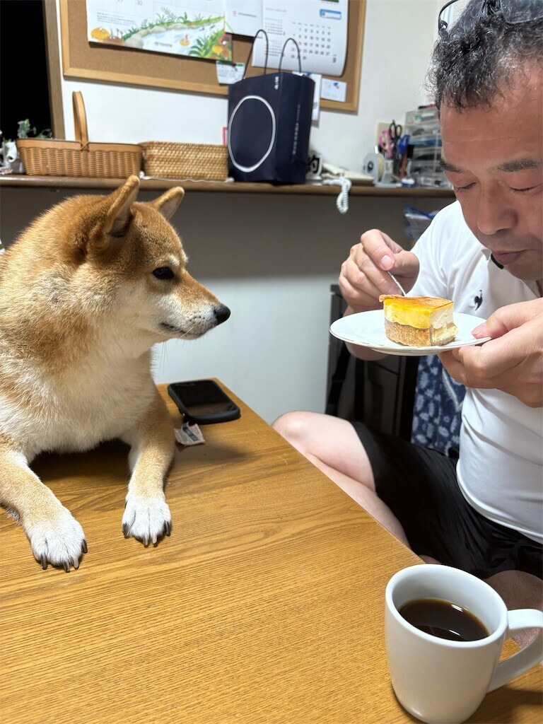 f:id:kyokokwanau:20250930192519j:image