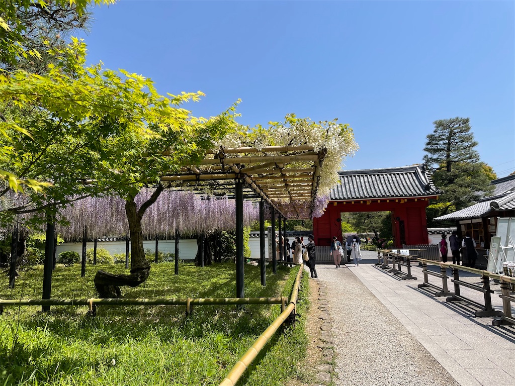 f:id:kyokonotsubuyaki:20210501153440j:image f:id:kyokonotsubuyaki:20210501153440j:image