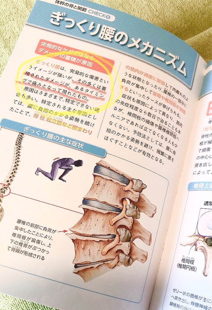 身体ノート 私のぎっくり体験 プロローグ スタイルアップしながら身体と心を調和していく整体院 ボディケアルームてあて 痛みはあなたの成長ポイント