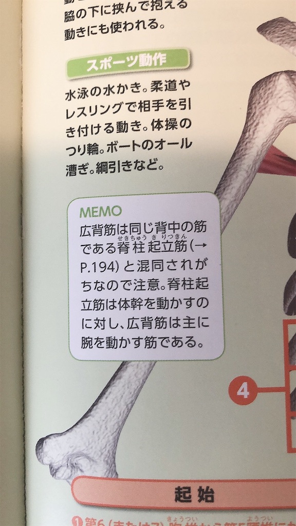f:id:kyokototeate:20200922182707j:image