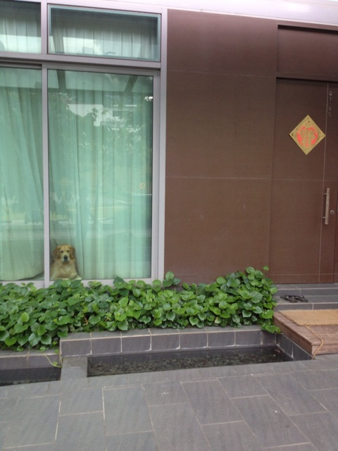 f:id:kyomonatsu:20131207181929j:plain f:id:kyomonatsu:20131207181929j:plain