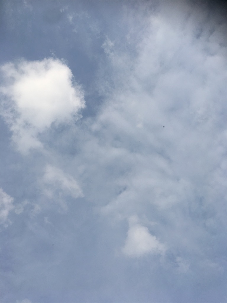 f:id:kyomonatsu:20180716004325j:image f:id:kyomonatsu:20180716004325j:image