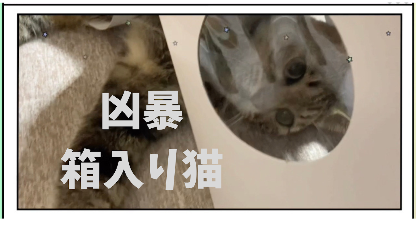 f:id:kyonsmile23:20220820195804p:image