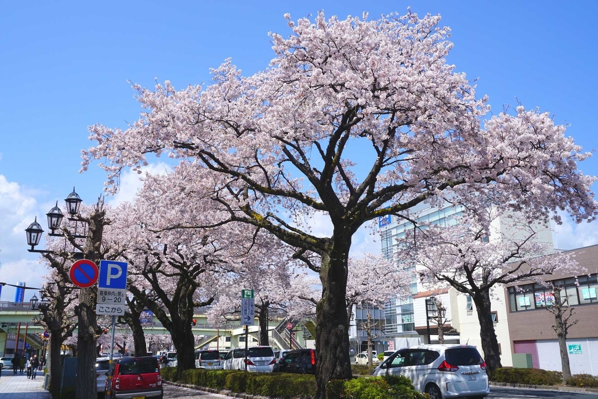 f:id:kyony1024h:20200412003046j:plain f:id:kyony1024h:20200412003046j:plain