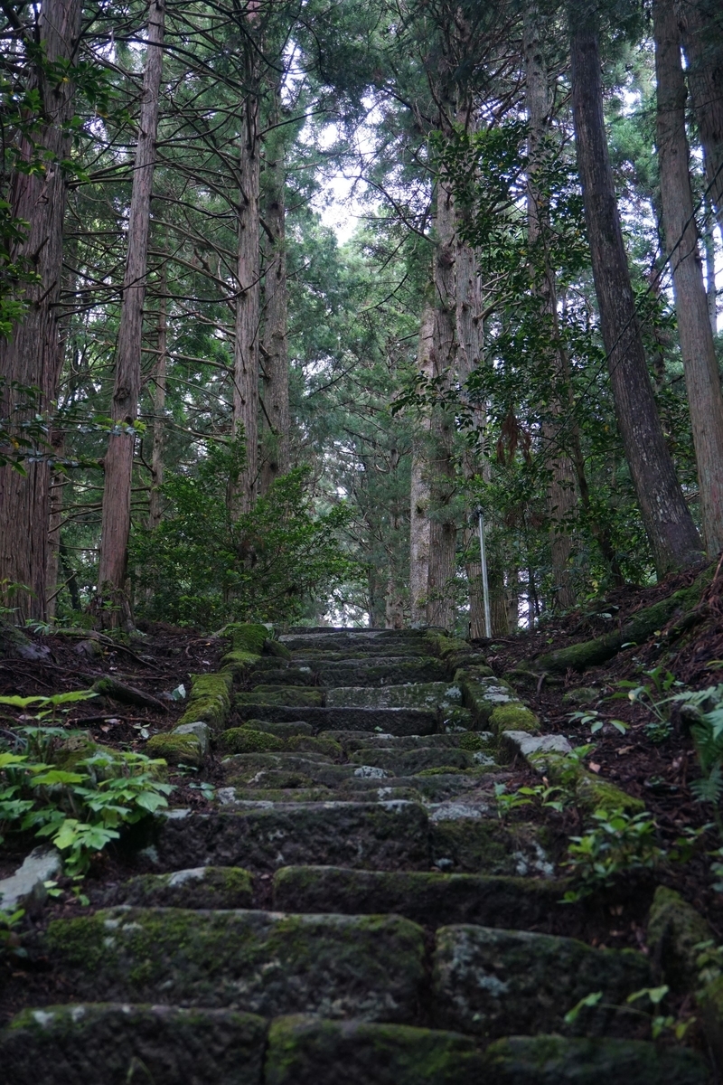 f:id:kyony1024h:20200607000015j:plain