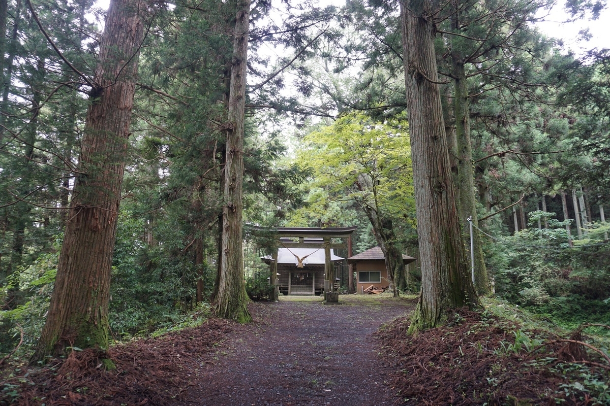 f:id:kyony1024h:20200607000210j:plain