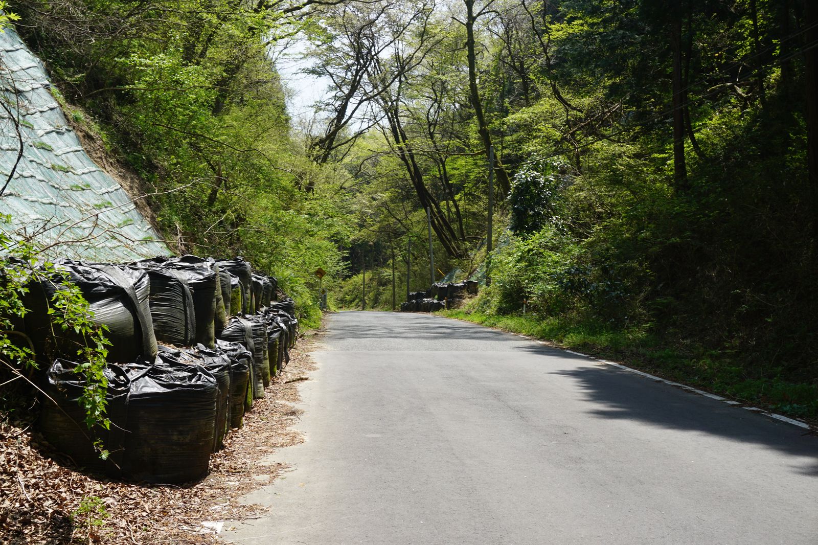 f:id:kyony1024h:20200616215416j:plain