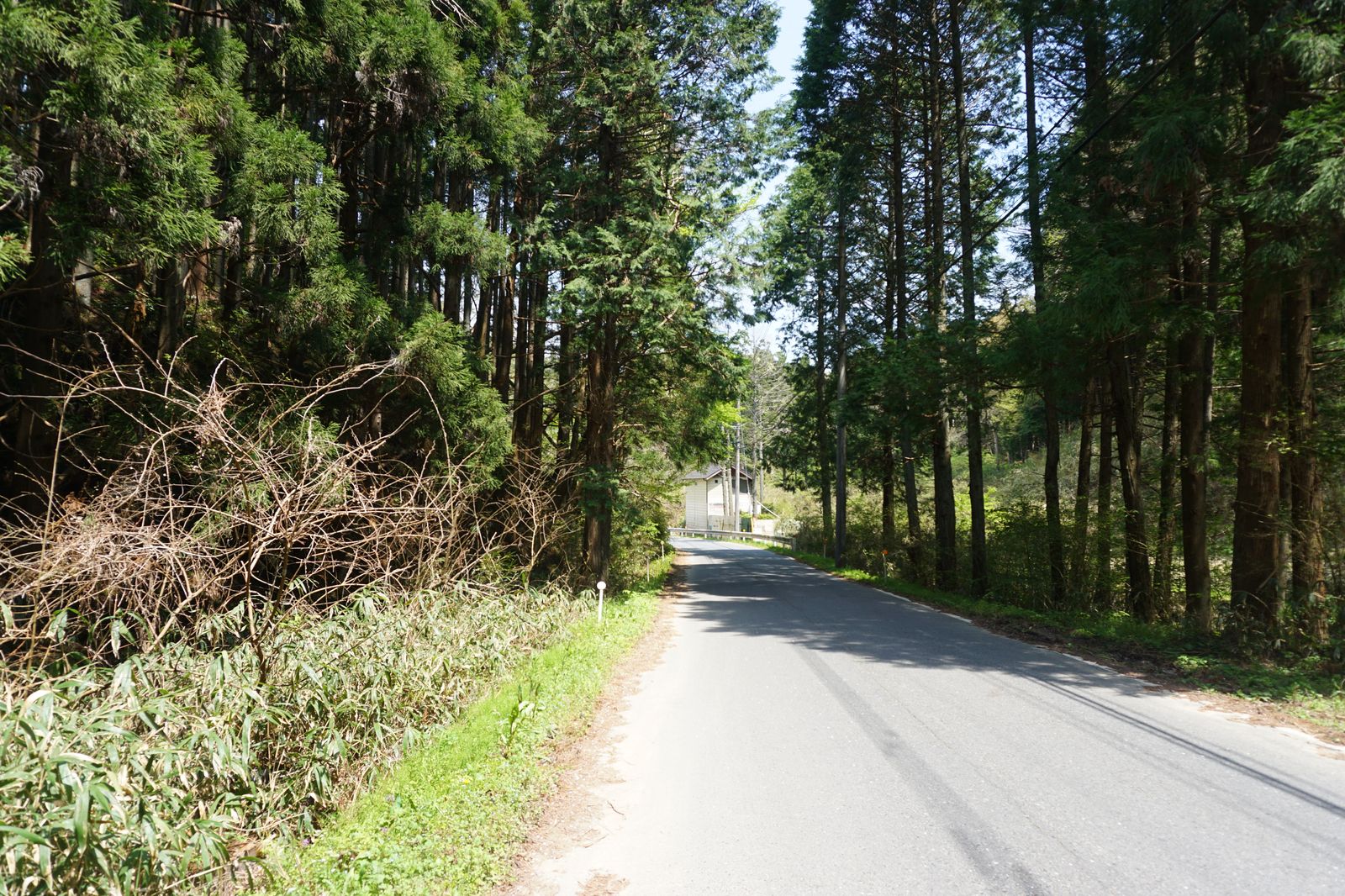 f:id:kyony1024h:20200616215426j:plain