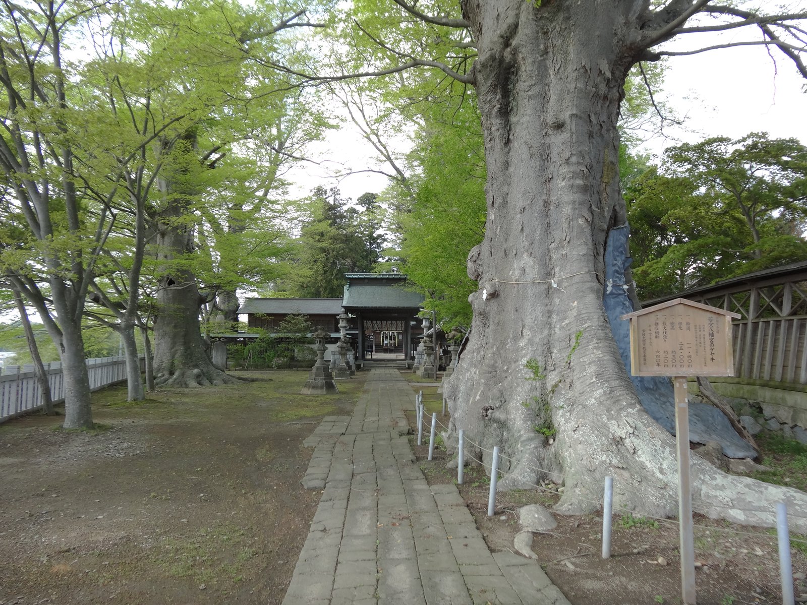 f:id:kyony1024h:20210207214358j:plain