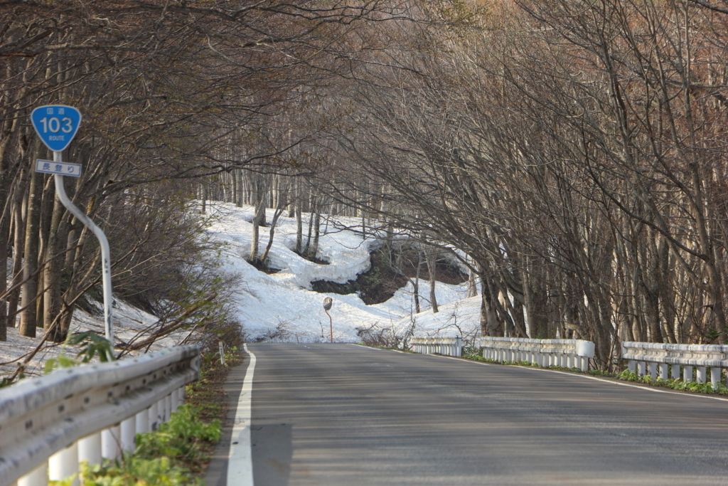 f:id:kyoro32634g15:20180513112043j:plain f:id:kyoro32634g15:20180513112043j:plain