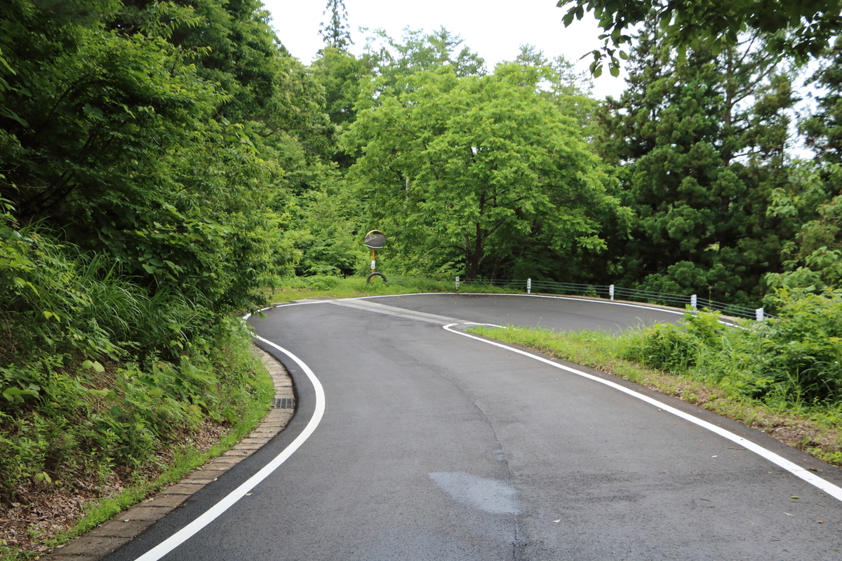 f:id:kyoro32634g15:20190628195430j:plain