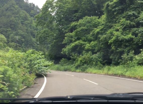 f:id:kyoro32634g15:20190629182937j:plain