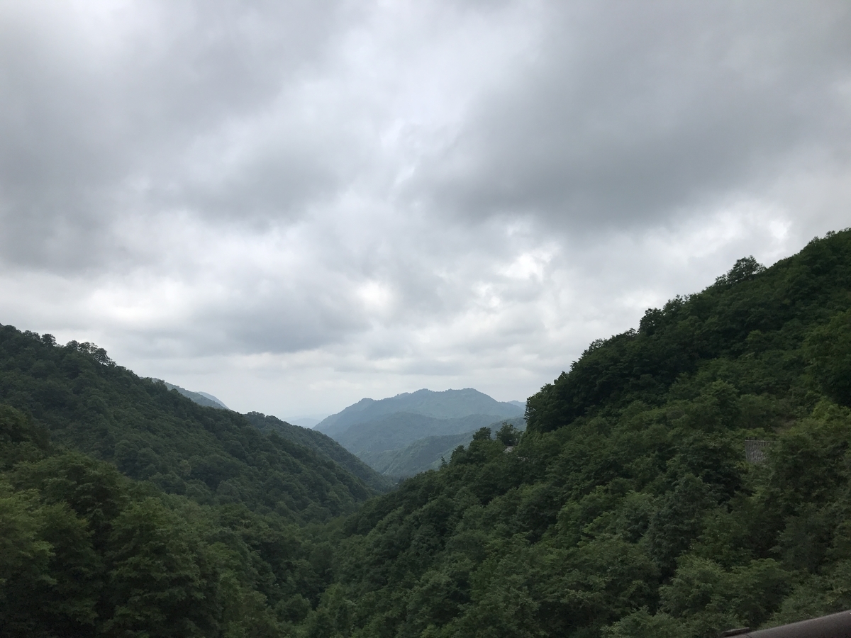 f:id:kyoro32634g15:20190629183927j:plain