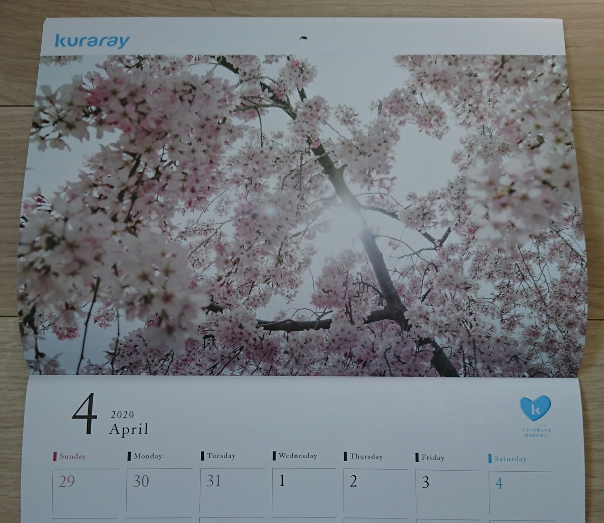 f:id:kyoro77:20191116184657j:plain