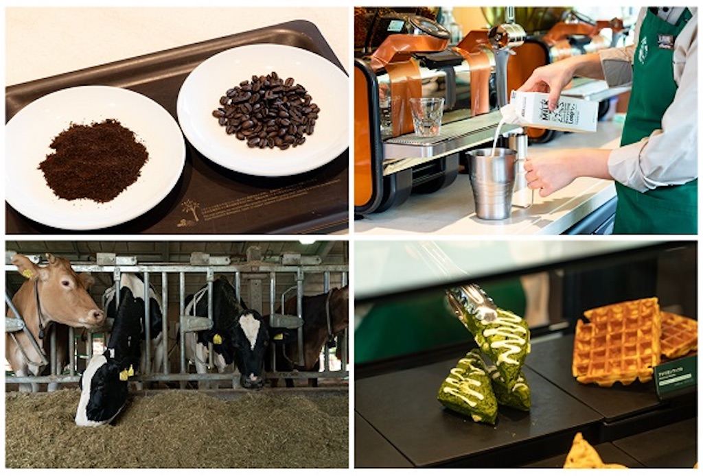 f:id:kyoro_skavifika:20230327161237j:image