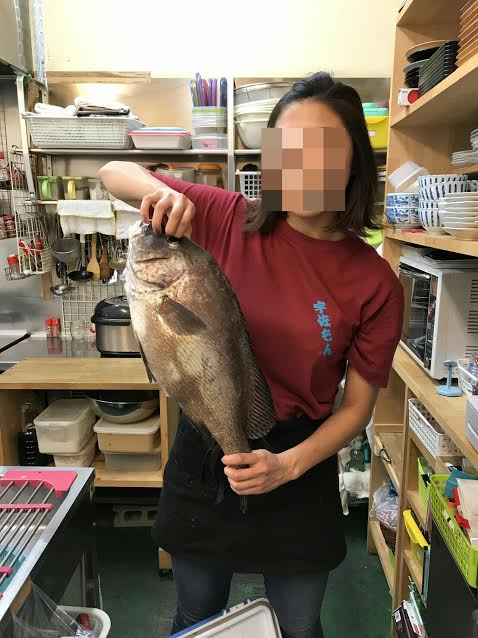 f:id:kyoryokutosa:20170703115201p:plain f:id:kyoryokutosa:20170703115201p:plain