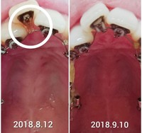 CollageMaker_20180910_232058563~01.jpg