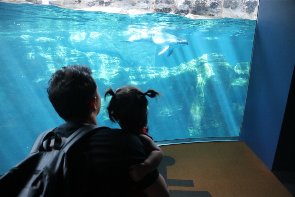 f:id:kyoto_training_center:20190921113839j:image f:id:kyoto_training_center:20190921113839j:image
