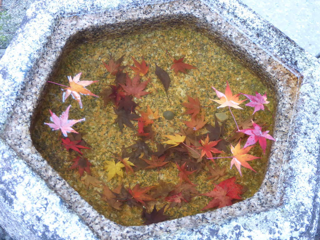 f:id:kyotoburari:20181130201404j:plain