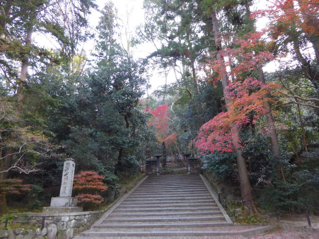 法然院】紅葉はまるで絵本の１ページ！山門や白砂壇も秋の装いに 