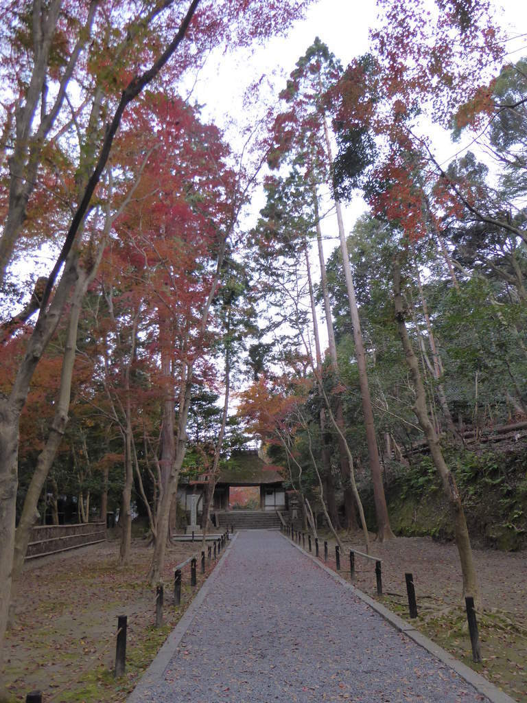 f:id:kyotoburari:20181203201019j:plain f:id:kyotoburari:20181203201019j:plain