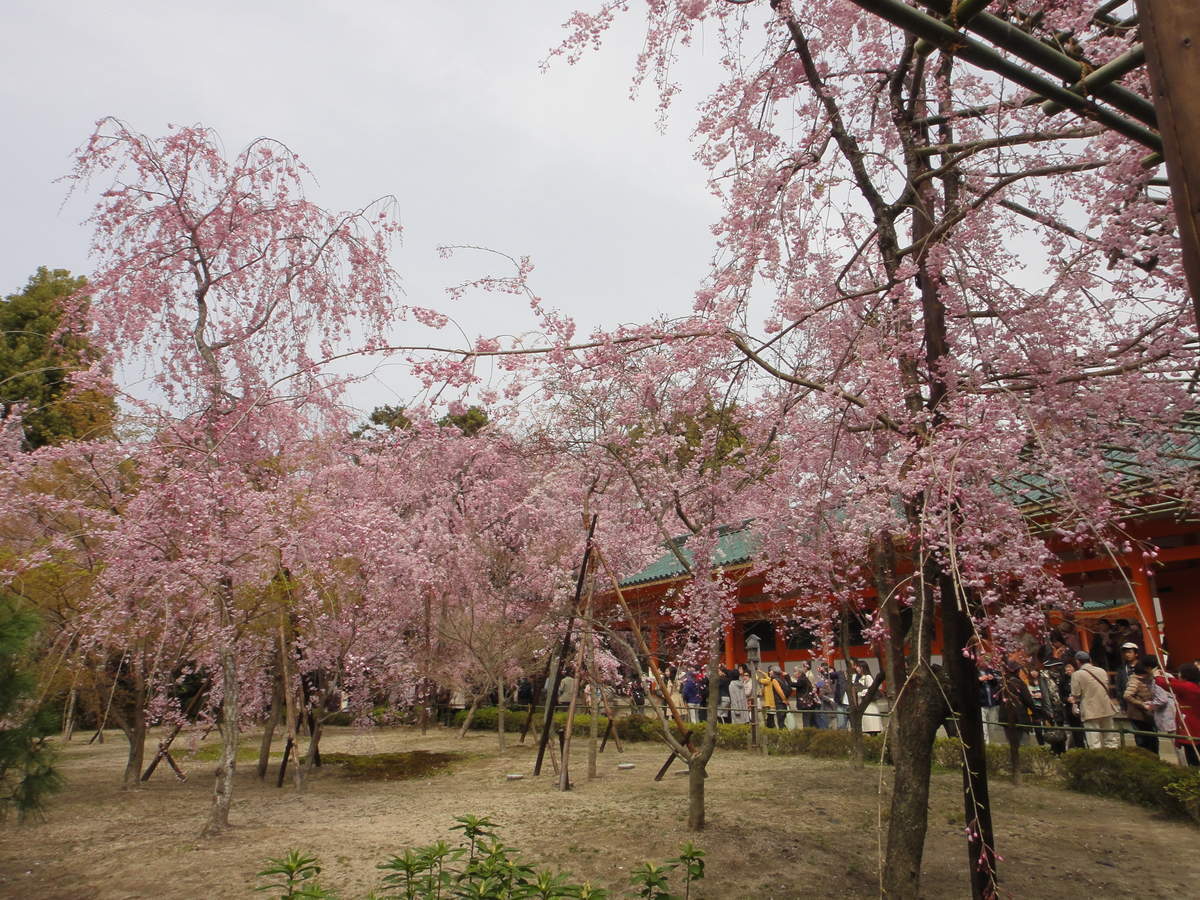 f:id:kyotoburari:20190320074154j:plain