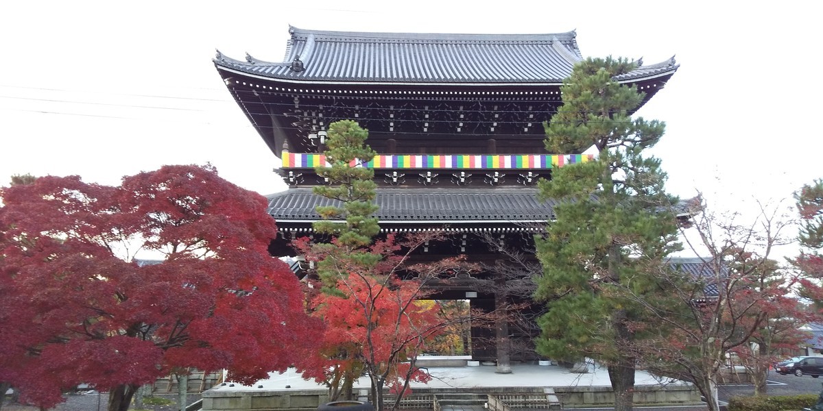 そうだ京都行こう2019秋CM】紅葉美しい金戒光明寺と真如堂に行っ