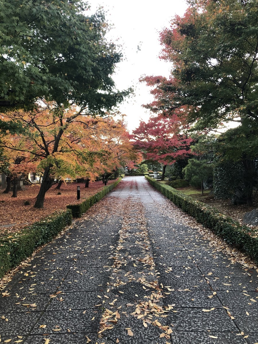 f:id:kyotoburari:20191208104315j:plain f:id:kyotoburari:20191208104315j:plain