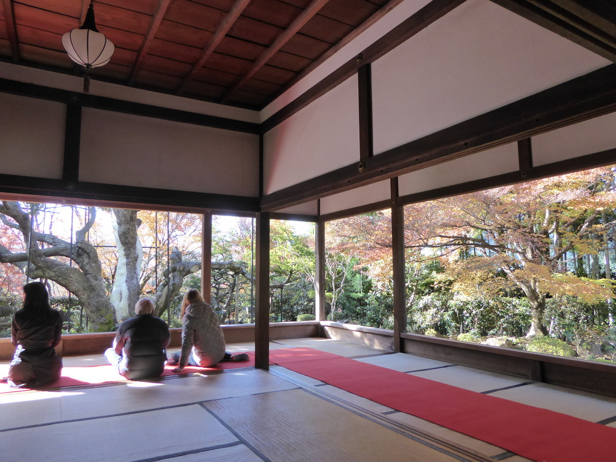 宝泉院 抹茶と楽しむ五葉松 紅葉額縁庭園 恐怖の血天井にライトアップも 京都ぶらり散歩 グルメ手帖
