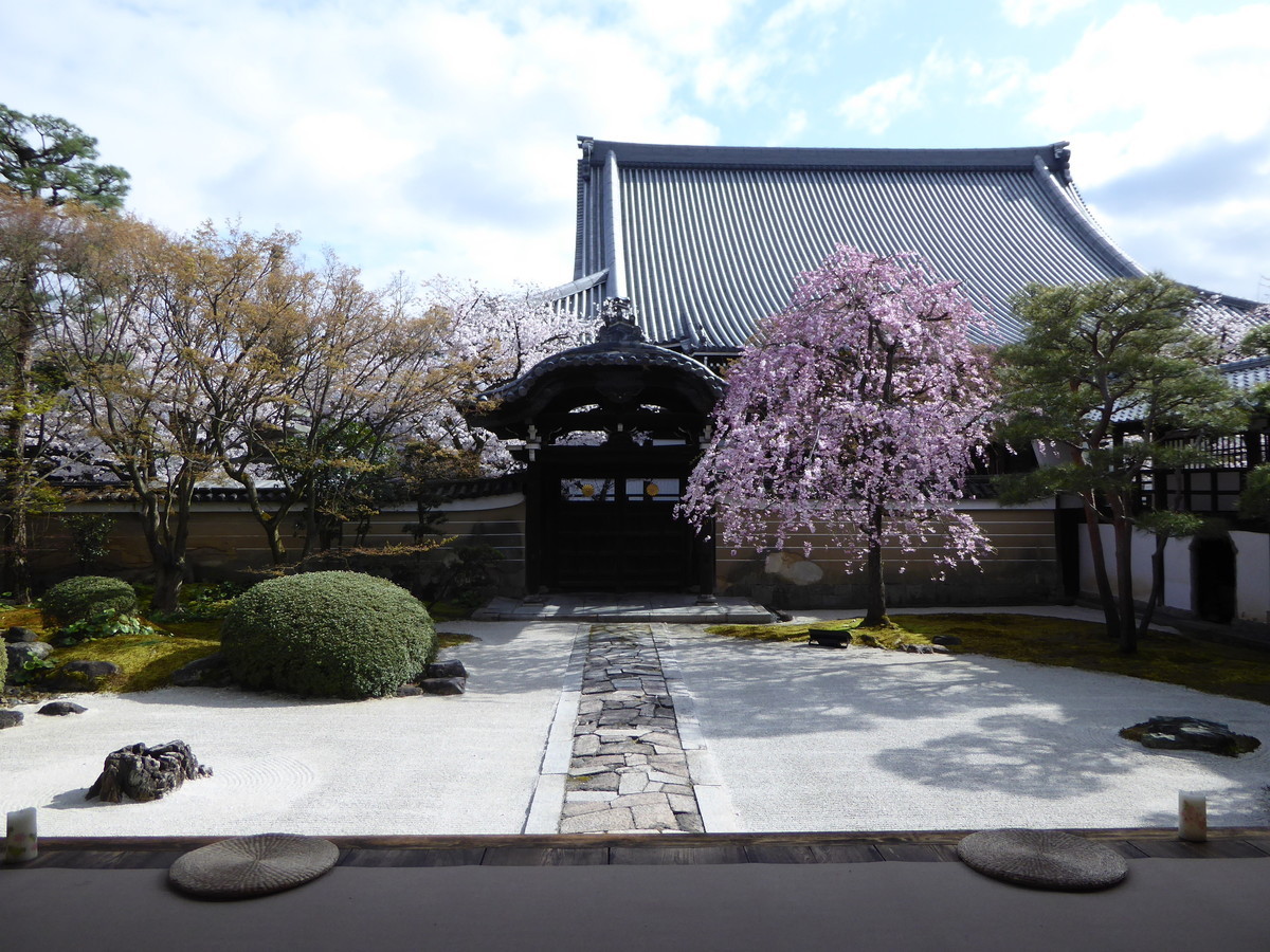 f:id:kyotoburari:20200416151449j:plain