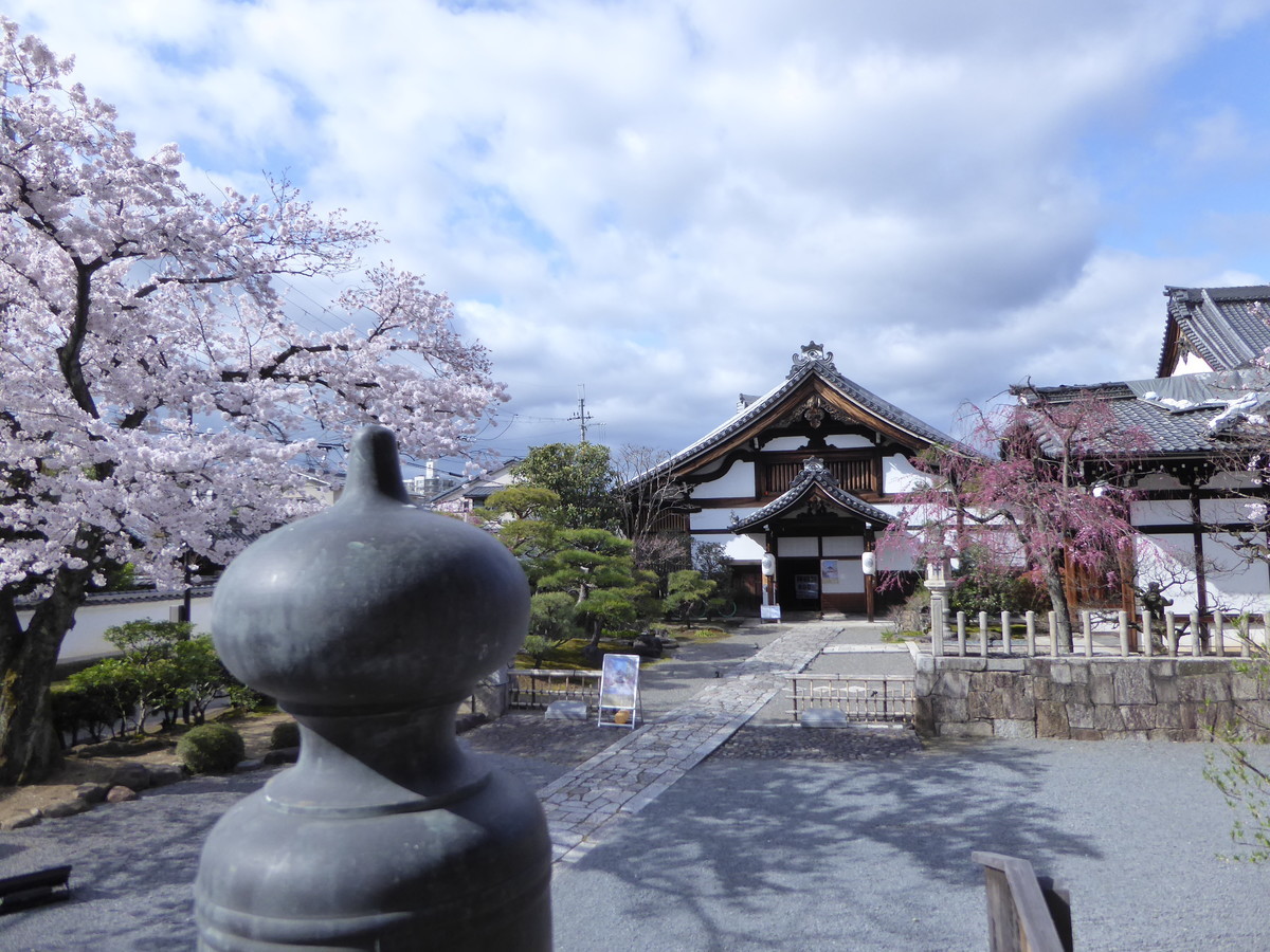 f:id:kyotoburari:20200416151737j:plain