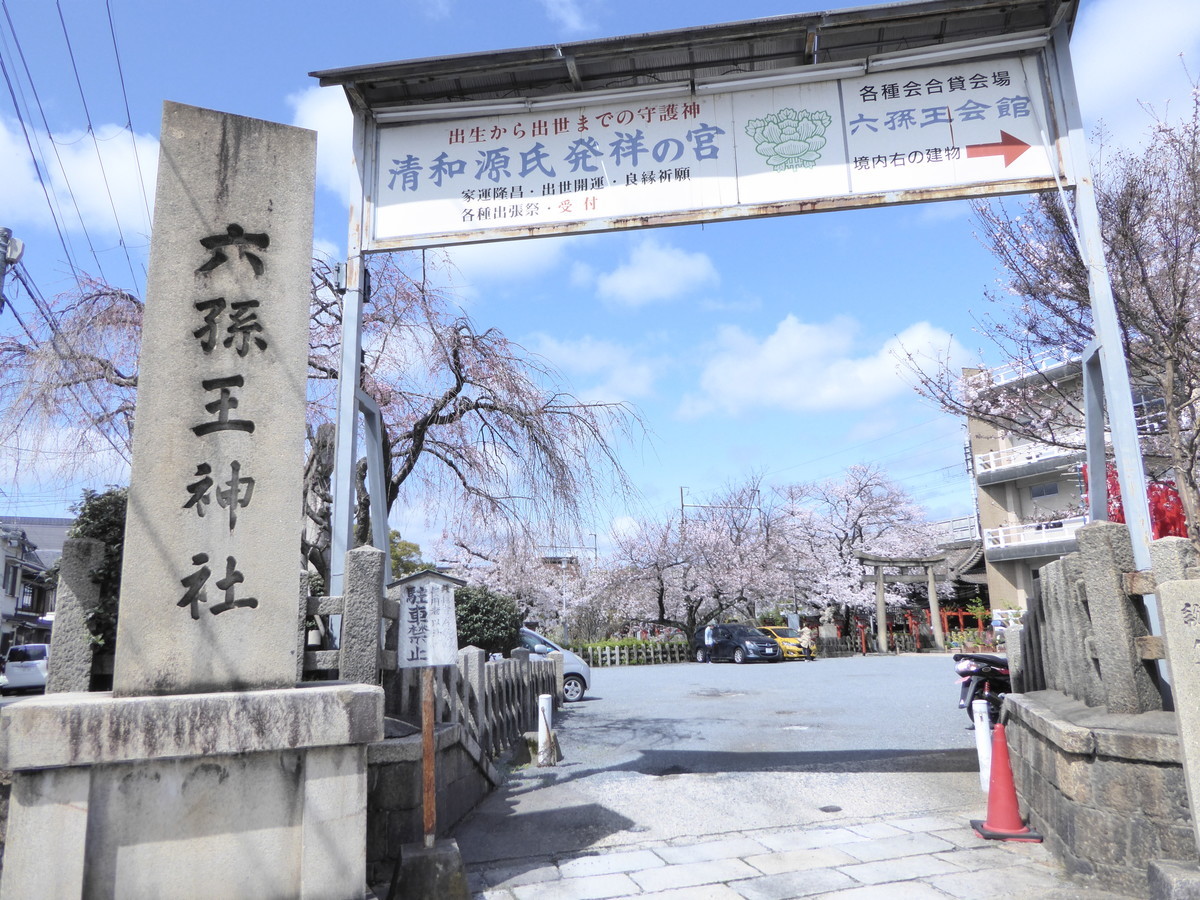 六孫王神社 灯篭を彩る桜トンネル 恋の架け橋で縁結び おみくじも 京都ぶらり散歩 グルメ手帖