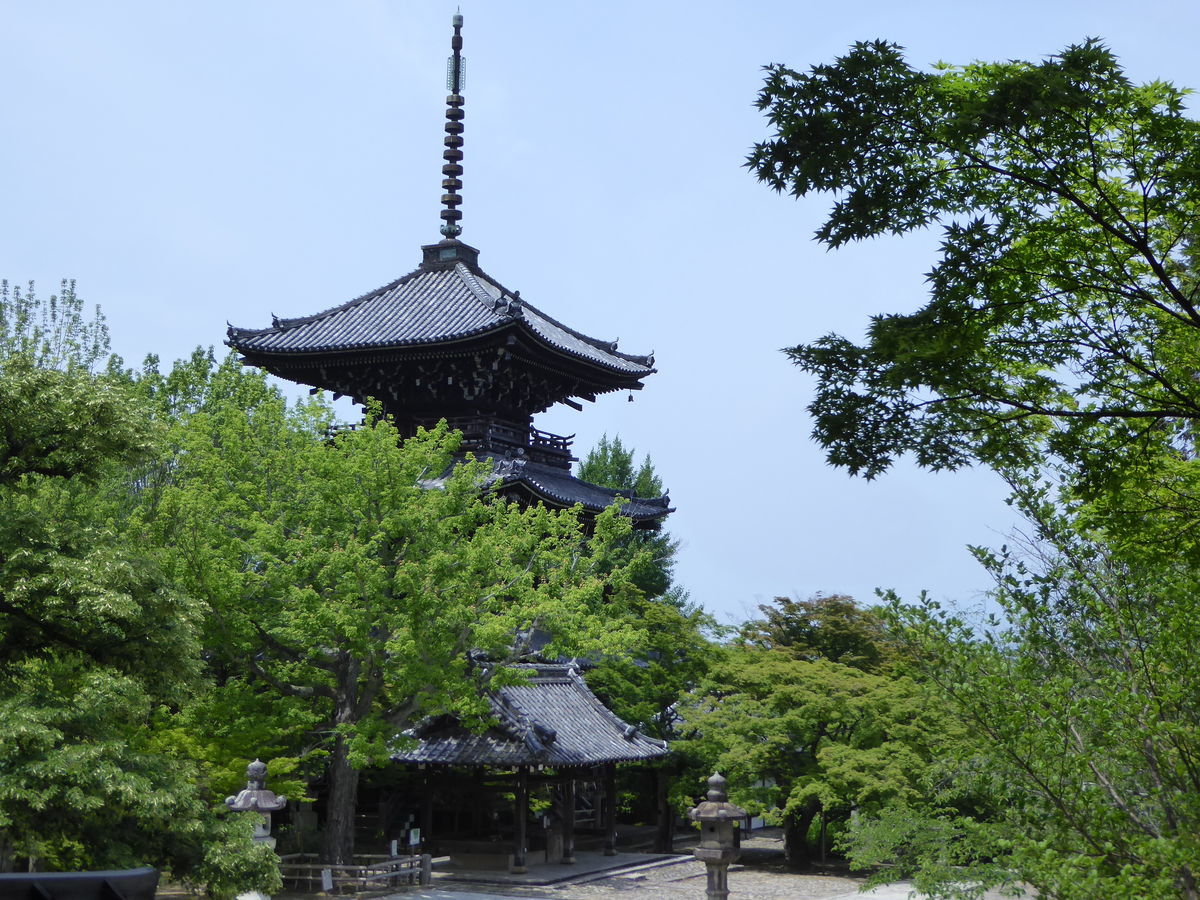 心の「寺」を観る MakingStorylinein妙心寺塔頭桂春院|夜の桂春院での特別な3つの