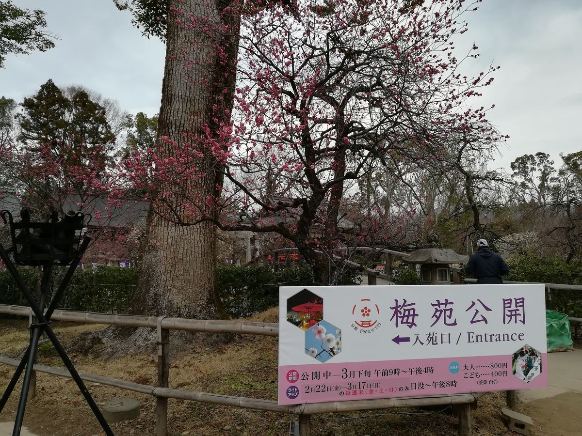 f:id:kyotoburari:20201221150443j:plain