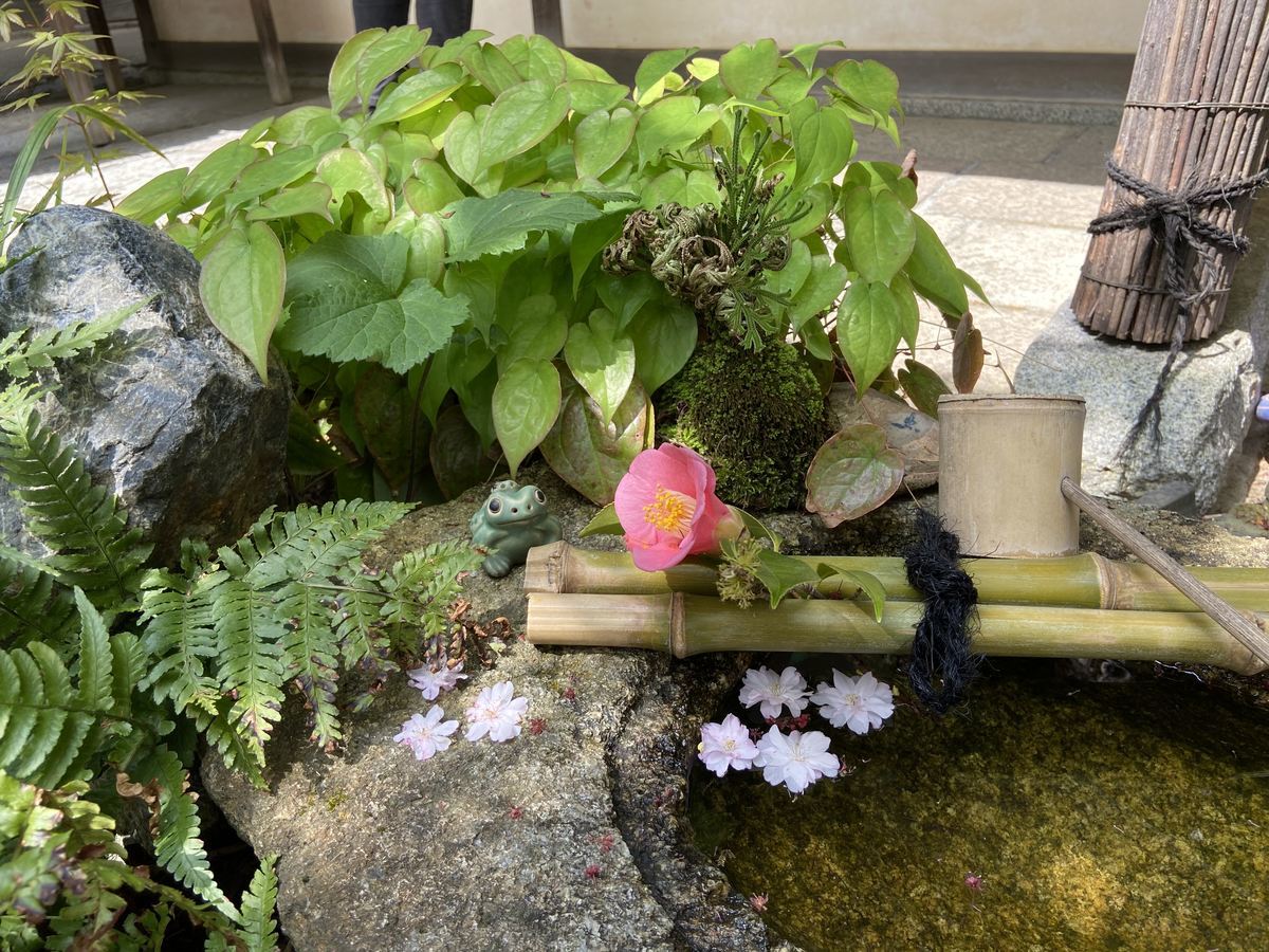 f:id:kyotoburari:20210525152047j:plain
