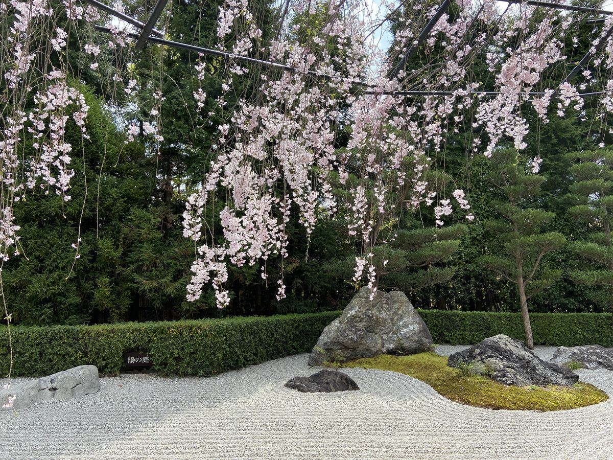 f:id:kyotoburari:20210601163938j:plain