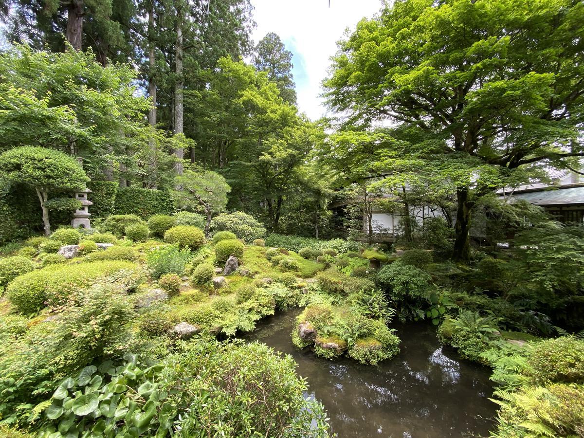 三千院 青もみじと紫陽花を愛でる 癒しの苔庭を初夏のぶらり散歩 京都ぶらり散歩 グルメ手帖