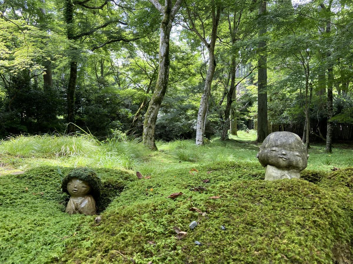 三千院】青もみじと紫陽花を愛でる！癒しの苔庭を初夏のぶらり散歩