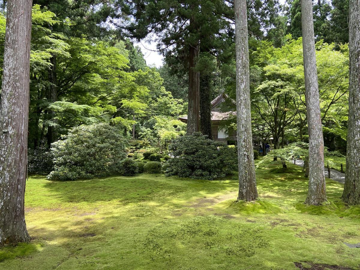 f:id:kyotoburari:20210625142832j:plain