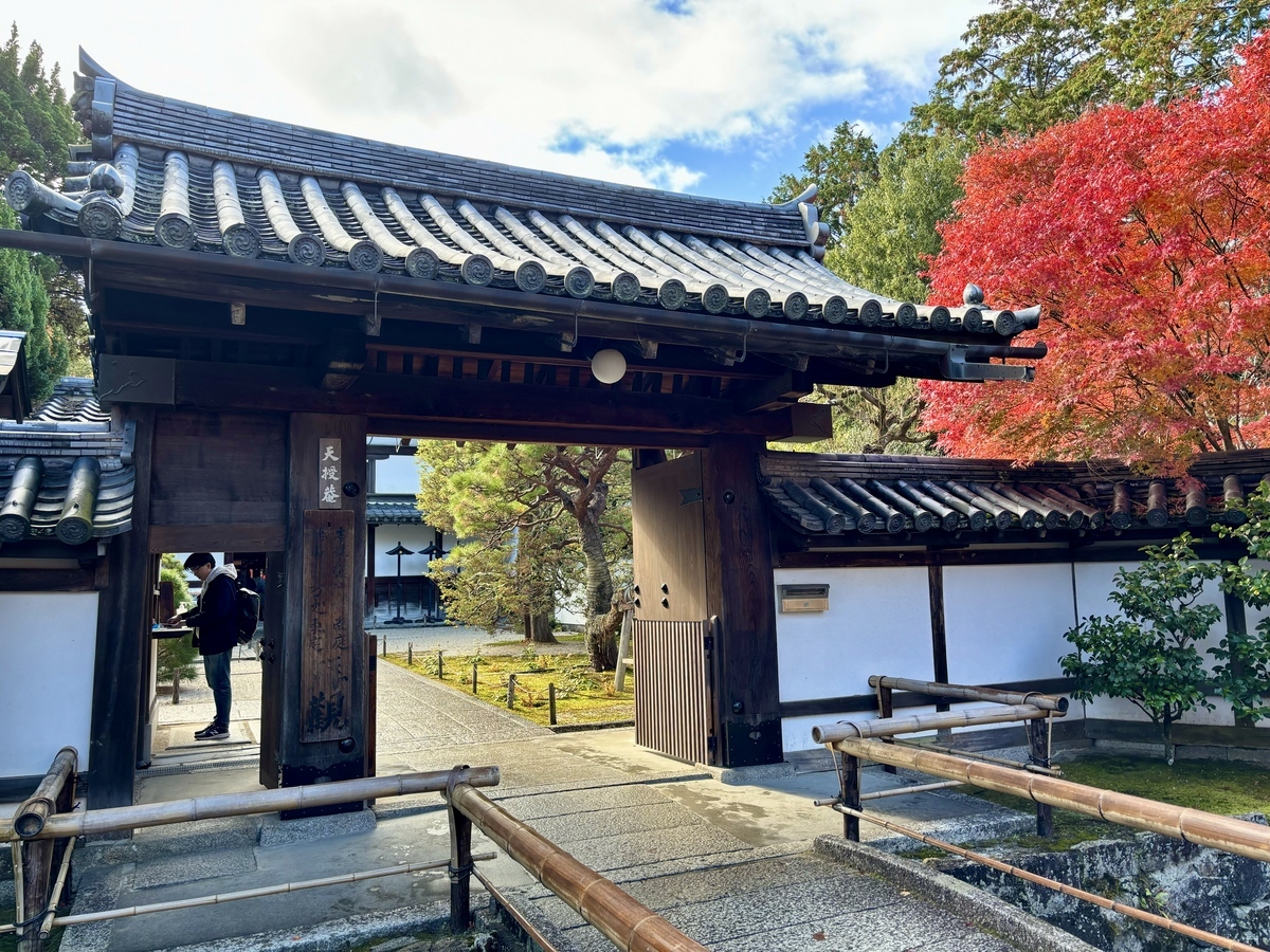 南禅寺天授庵】紅葉鮮やかな庭園は京都随一の美しさ！冒険心くすぐる 
