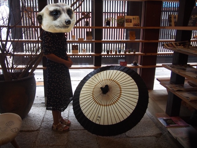 f:id:kyotohokububiyori:20190710214531j:plain