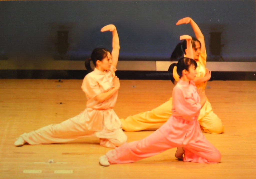 新宿文化センターで演武☆ - 京都中国武術協会official blog