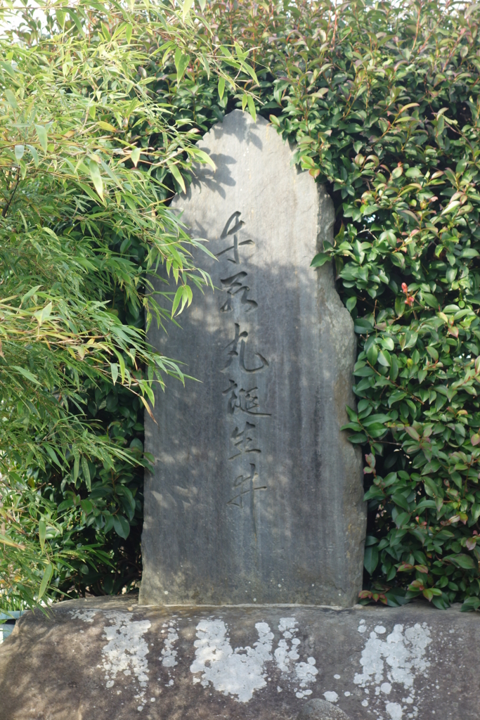 f:id:kyotomichi:20170103163311j:plain