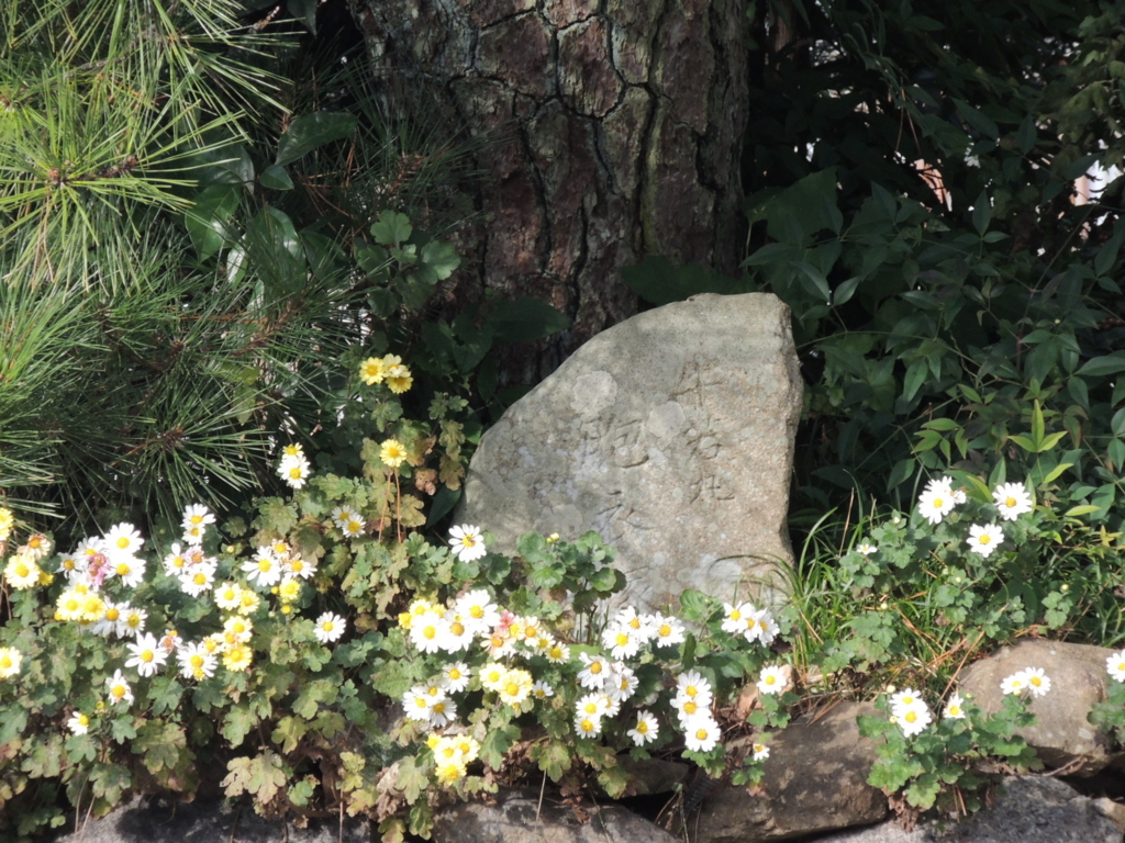 f:id:kyotomichi:20170103164537j:plain