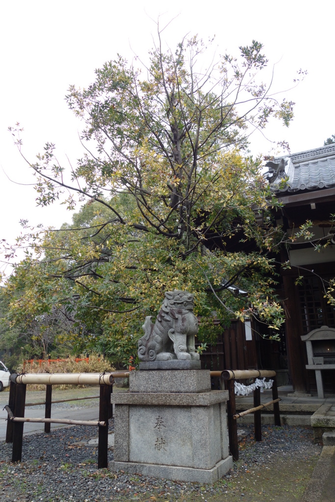 f:id:kyotomichi:20170109195420j:plain f:id:kyotomichi:20170109195420j:plain