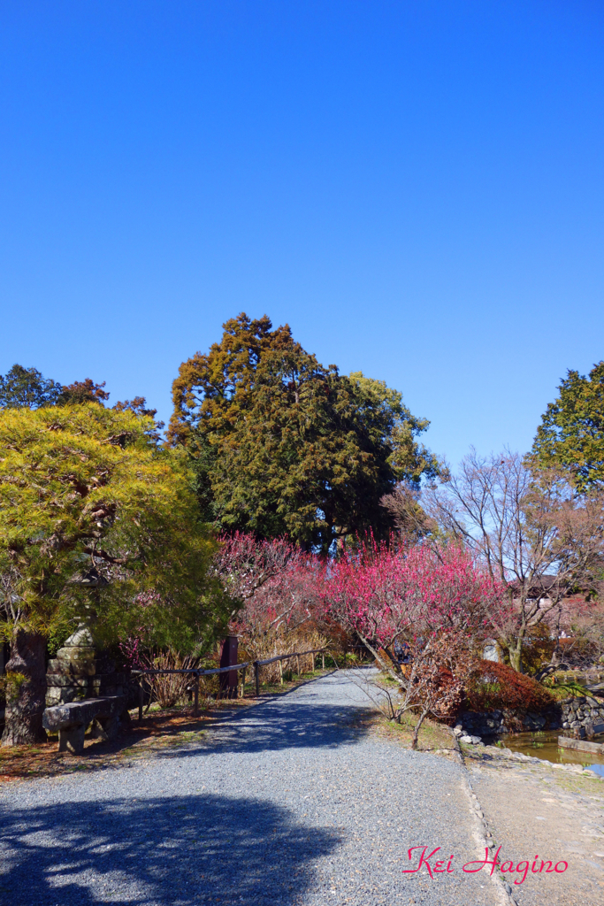 f:id:kyotomichi:20180310202517j:plain
